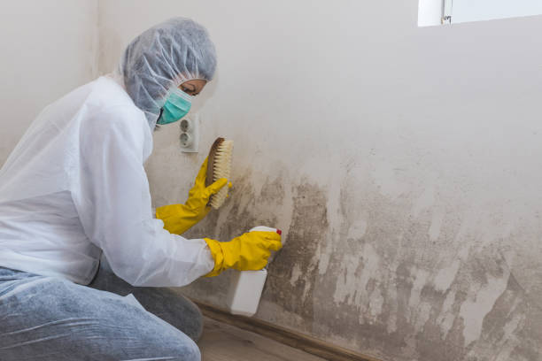 Best Crawl Space Mold Removal  in Hillside Lake, NY