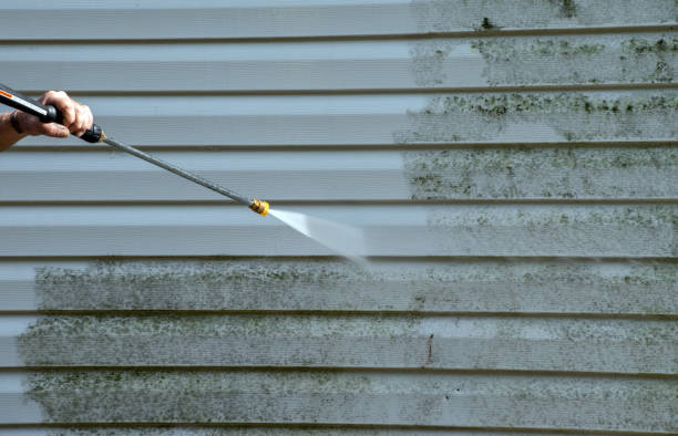 Best Mold Damage Repair  in Hillside Lake, NY