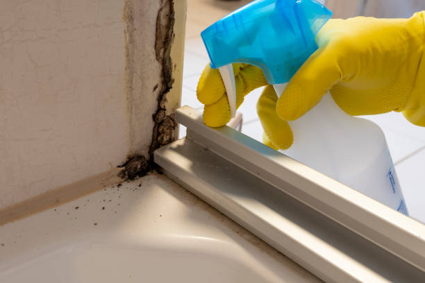 Best Mold Cleaning Services  in Hillside Lake, NY